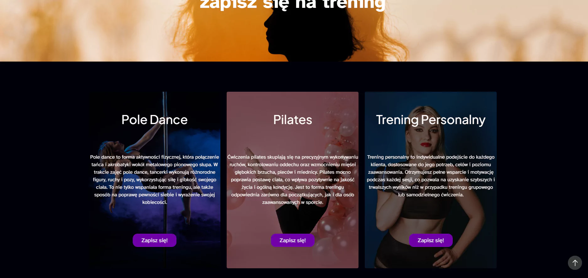 Zrzut ekranu projektu FlyMove - Sala Pole Dance i trener osobisty