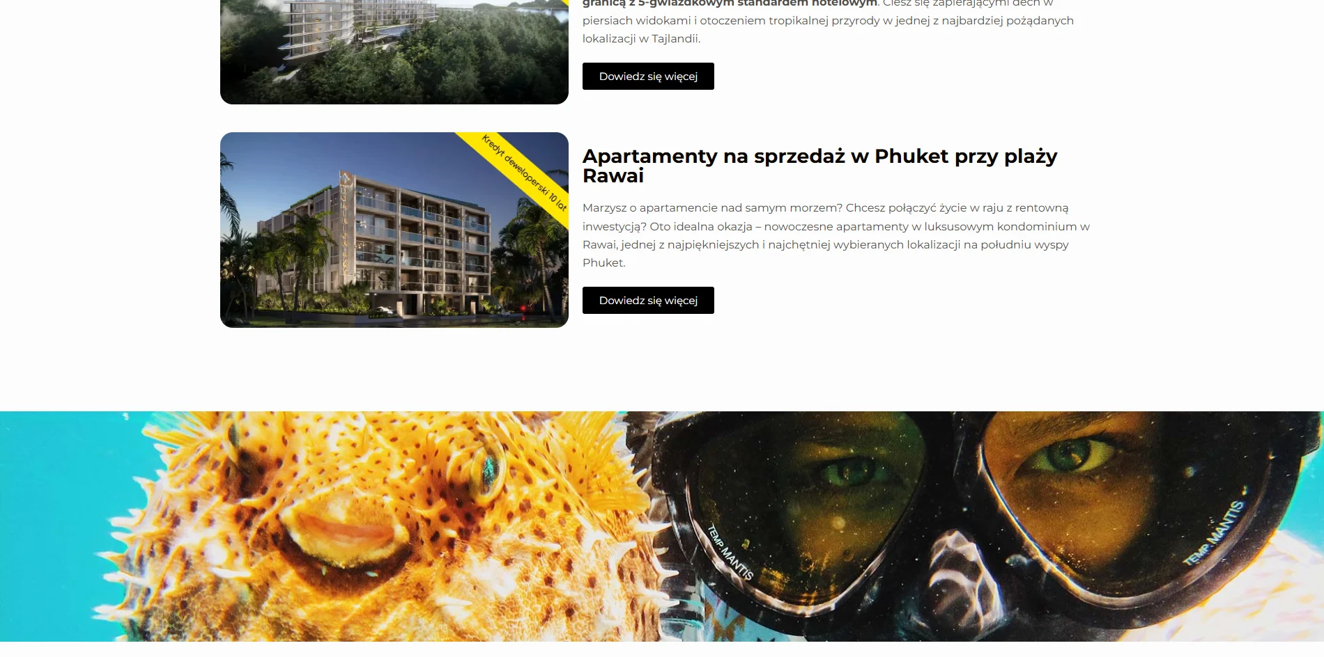 Zrzut ekranu projektu Odkryj Tajlandie - wycieczki i nieruchomości w Tajlandii