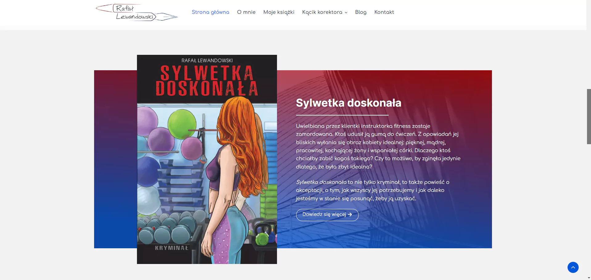 Zrzut ekranu projektu Pisarz i Korektor
